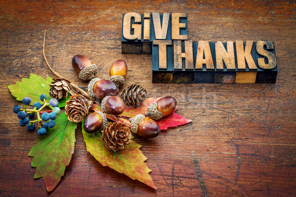 6240359_stock-photo-give-thanks-thanksgiving-concept